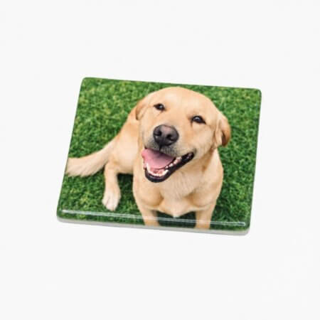 koelkastmagneet-foto-hond